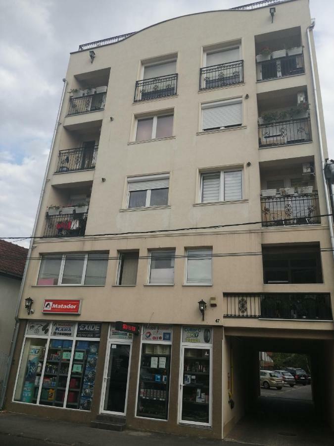 New And Nice Apartments Крагуевац Экстерьер фото